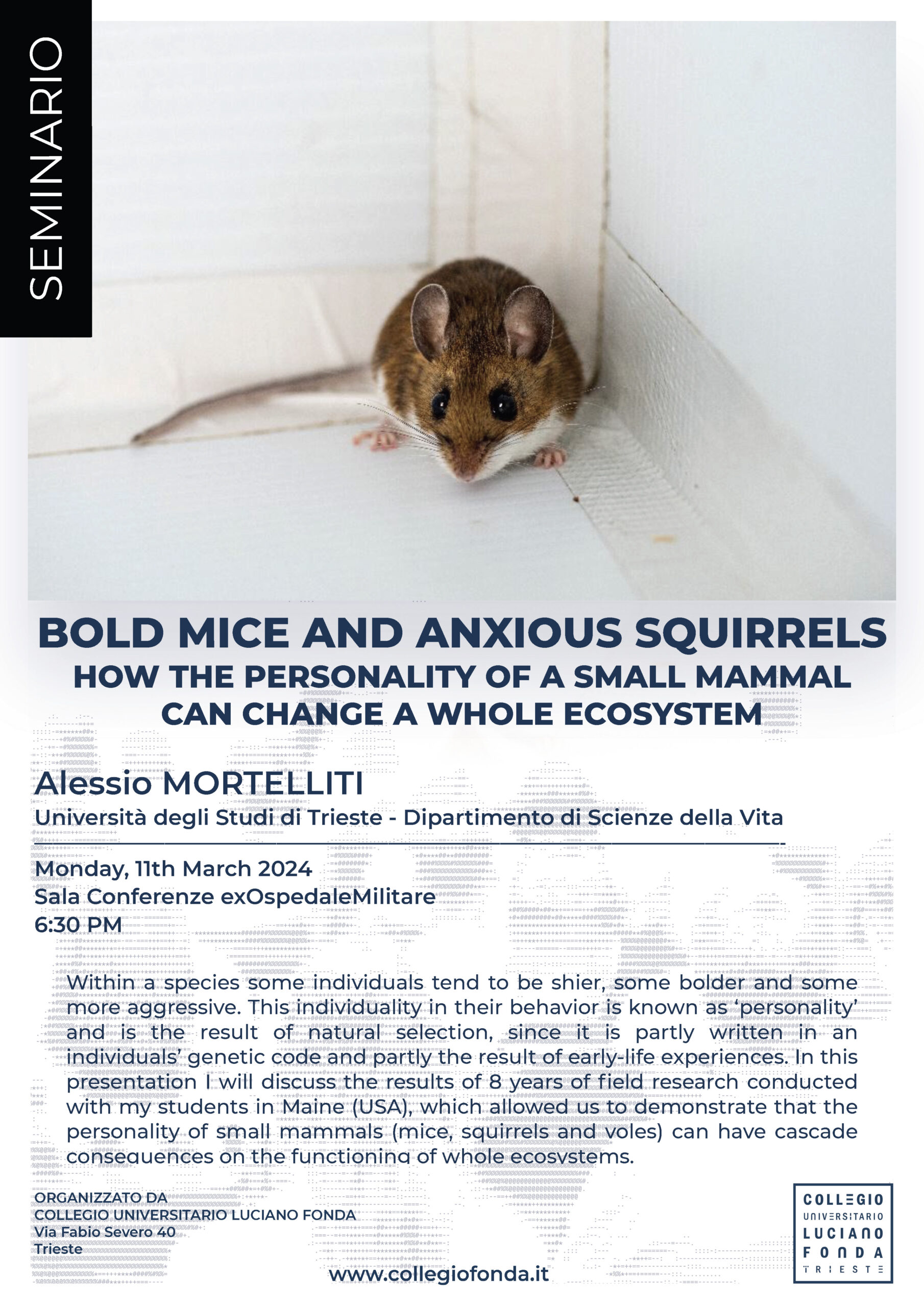 BOLD MICE AND ANXIOUS SQUIRRELS • Seminar by Alessio Mortelliti – Monday, 11th March 2024